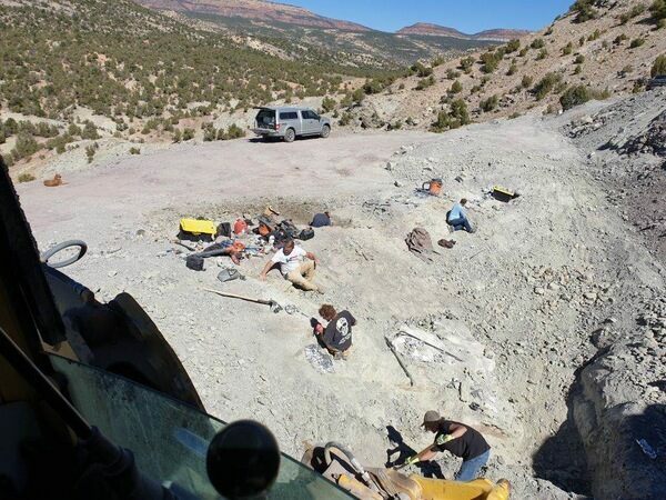 Photo of the Dinosaurs of America fossil quarry in the Morrison Formation.